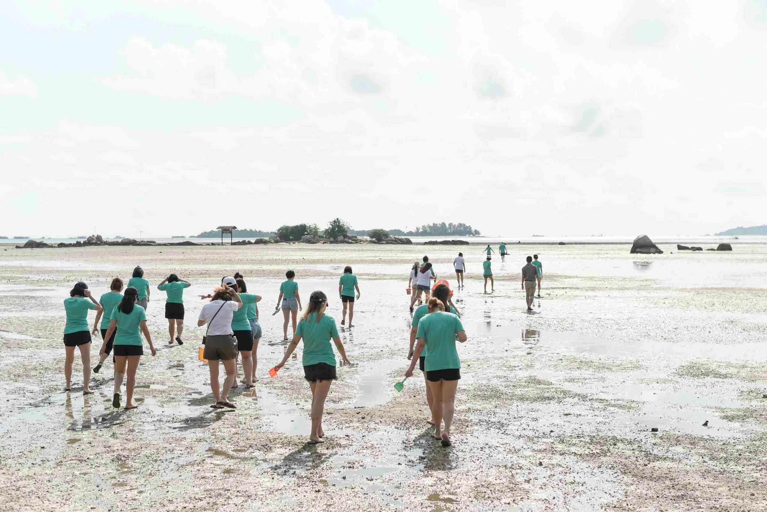 Low Tide Walk