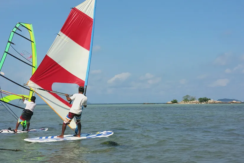 Activites wind surfing