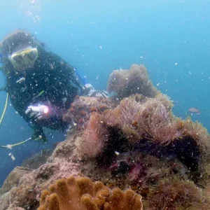 diving
