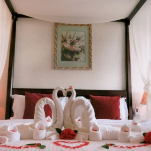 royal pool villa 4